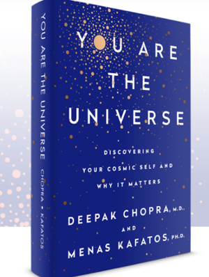 Your Are the Universe