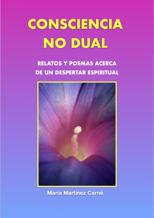 Conciencia no-dual