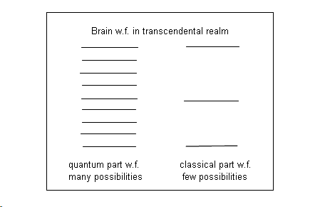 Estados del cerebro