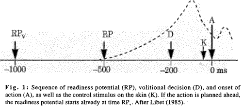 Diagrama de Libet 2