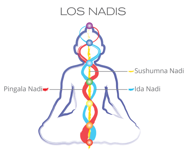 Los Nadis