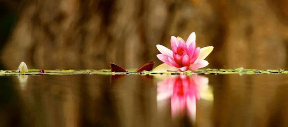 Introducción al Advaita