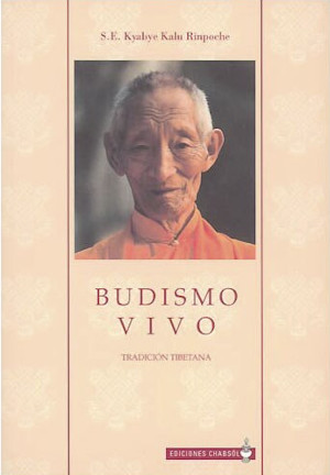 Budismo Vivo