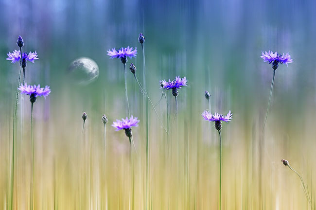 Christine Ellger 3