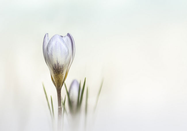 Christine Ellger 3