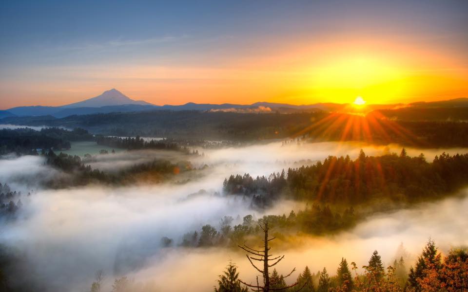 Dawn